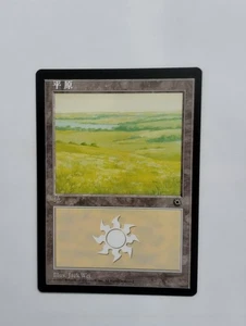 1 x MTG S-Chinese Portal Basid Land (Plains 197s)---N/M - Picture 1 of 1