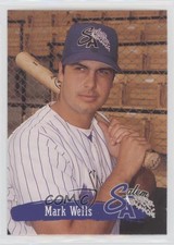1995 Multi-Ad Salem Avalanche Mark Wells #21