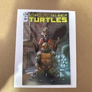 Teenage Mutant Ninja Turtles #98 TMNT Sajad Sahah Variant IDW - Picture 1 of 14