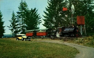 Canada Forest Museum Duncan Vancouver Island British Columbia Chrome 08.52 - Bild 1 von 2