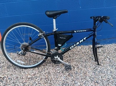 巨型育空自行车 — 第 1/4 张图片