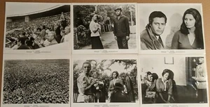 SONNENBLUME 6 Original Film Standbilder SOPHIA LOREN MARCELLO MASTROIANNI 1970 - Bild 1 von 4