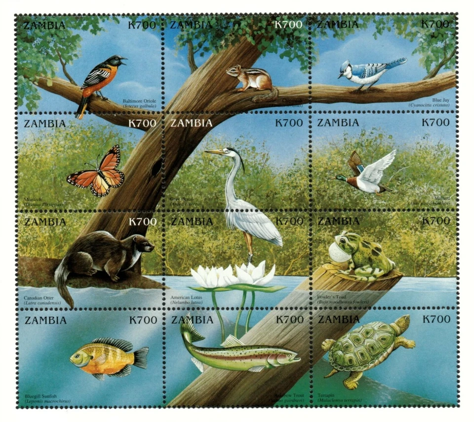 Zambia 1999 - Pájaros de río animales peces - Hoja de 12 estampillas - Scott #828 - MNH Foto 1 de 1