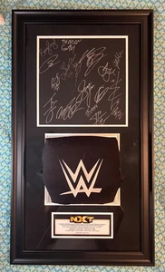 RARO WWE NXT Takeover Firmado Lienzo con Tensor LE 5 de 12, 17 AUTOS - Imagen 1 de 7