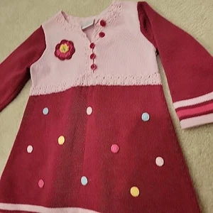 Vestido Suéter Hanna Andersson Tejido Bloque de Color Rosa Talla 3T 80 Suéter - Imagen 1 de 12