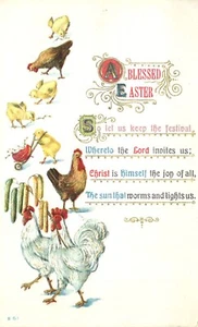 Selige Osterküken Hühner & Hähne geprägt 1909 Postkarte - Bild 1 von 2