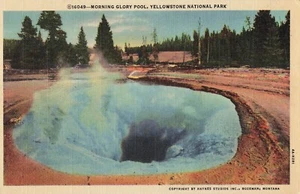 Vintage Morning Glory Pool Yellowstone National Park Linen Postcard - Picture 1 of 2