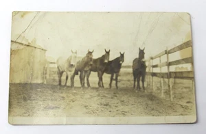 Ericson Nebraska Horse Coral RPPC Postcard c1910 Bumgardner Ranch RARE - Picture 1 of 2