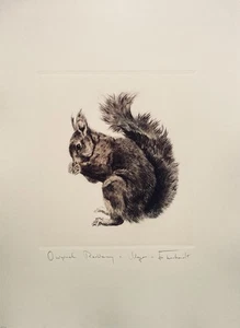 "Eichhörnchen" Farbradierung von Kurt Meyer-Eberhardt (Hanfstaengl Nachlass) - Bild 1 von 2