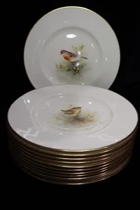 Royal Worcester Multi-Motif Birds Bone China 12 Dinner Plates Artist E. Townsend - Picture 1 of 24