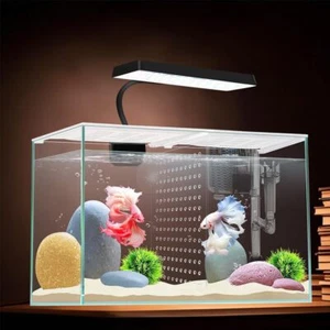 3 Gallon 12.6" L Fish Nano Glass Aquarium, with Separator Plate for Betta, Multi - Picture 1 of 12