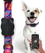 Porte-étiquette Apple avec collier pour animaux de compagnie, étui de suivi GPS pour animaux de compagnie convient à tout collier largeur
