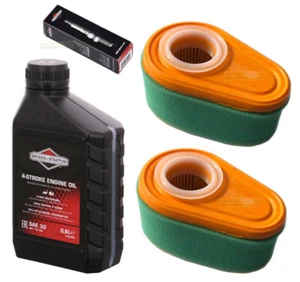 Zündkerze + Filter + Rasenmäheröl für Briggs & Stratton B&S DOV 700 725 - Bild 1 von 5