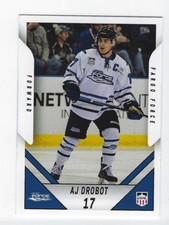 2018-19 Fargo Force (USHL) A. J. Drobot