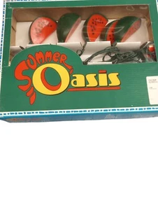 Summer Oasis Watermelon Slice Decorative Lights - Picture 1 of 2
