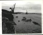 Press Photo Whale Carcasses in "Blue Water, White Death" Movie - hcq27358