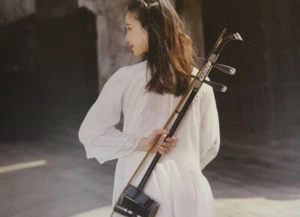 Chinese 2 Strings Violin Traditional National Instruments Erhu Phoneme Mark - Picture 1 of 9