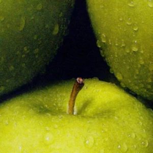 Abstract Collection - Green Apples - 24" x 24" Canvas Art Poster - Picture 1 of 1