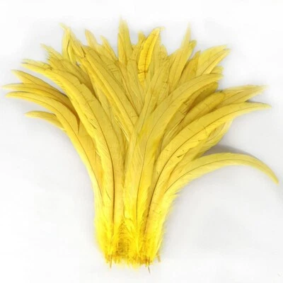 Venta al por mayor 100 piezas plumas cola de gallo 10-18 pulgadas pollo natural manualidades hágalo usted mismo Foto 1 de 4