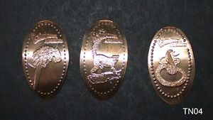 TN04 - Rainforest Adventures, Sevierville TN- 3 elongated pennies COPPER 