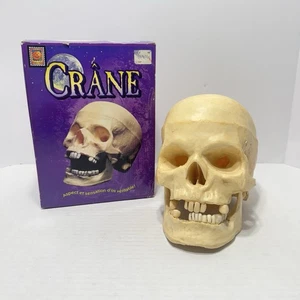 Calavera 1995 tamaño real mandíbula móvil resina calavera decoración de Halloween 9”x5” hueco aterrador - Imagen 1 de 17