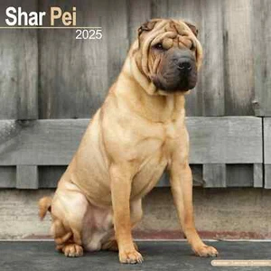 Calendrier 2025 -  SHAR PEI - Picture 1 of 2