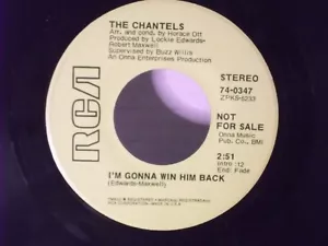 The Chantels,RCA 74-0347,"I'm Gonna Win Him Back"US,7"45,PROMO,1969 deep soul,M - Picture 1 of 2