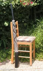 47"\120cm DIDGERIDOO+Bag+Beeswax Mouthpiece * Teak Wood Artwork Handpaint SNAKE - Picture 1 of 8