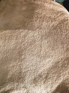 Berkshire weiche Plüsch Queen Size Decke beige 88 "x 95"  - Bild 1 von 3