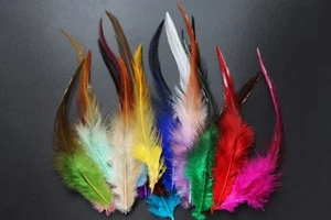 60 pcs/lot 15 Assorted Colors Cock Saddle Hackles Fly Tying Feathers Materials - Picture 1 of 5