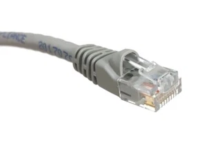 LOTTO 25 CONFEZIONI 20FT CAT6 Cavo Patch Ethernet Grigio RJ45 550Mhz UTP 6M - Foto 1 di 1