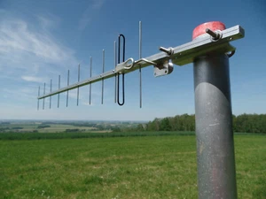11 el. 1296 MHz 23cm Yagi Antena dwuczęściowa ATV Amatorska antena radiowa N - Gniazdo. - Zdjęcie 1 z 7