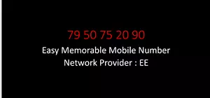 NOWY EE ŁATWY W PAMIĘCI NUMER TELEFONU KOMÓRKOWEGO KARTA SIM - Zdjęcie 1 z 1