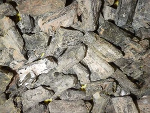 Epidota Africana Verde Oscuro Mineral 20 a 50 gramos tamaño piezas 250 gramos lote - Imagen 1 de 12