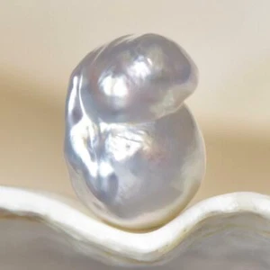 South Sea Pearl Bi-color Baroque 13.40 mm Maluku Indonesia 1.54 g undrilled - Picture 1 of 7
