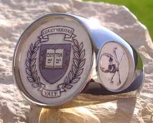 RARE YALE UNIVERSITY LUX ET VERITAS 322 SKULL RING SYMBOL PIN PATCH [N54 STEEL] - Picture 1 of 5