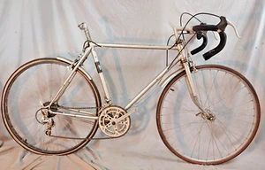 1987 Araya Vintage Touring Road Bike 55cm Medium Steel 10S Maxy Fast USA Shipper - Picture 1 of 19