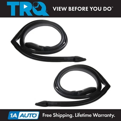 TRQ Roofrail Weatherstrip Fits 78-87 Buick 78-88 Chevrolet Oldsmobile Pontiac Foto 1 de 2