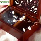 Rectangle Wood Carving Jewelry  Wind Up Music Box ♫  CANON IN D ♫