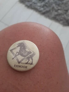 Insignia vintage Exmoor - Imagen 1 de 2