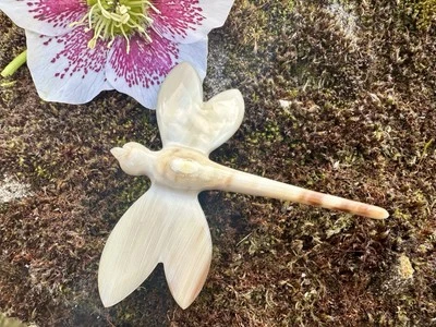 Large Blonde Horn Dragonfly Brooch Pin - Image 1 of 4