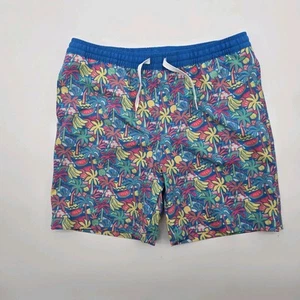 Chubbies Swim Trunks Youth Large 14 16 16 Blue Fruit Palm Brief Mesh Liner - Picture 1 of 8