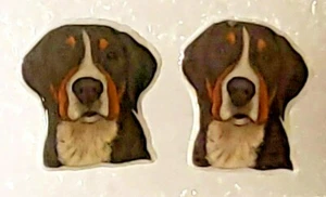 Greater Swiss Mt Dog / Entlebucher Teeny Tiny Flat Acrylic Post Earring Jewelry - Picture 1 of 3