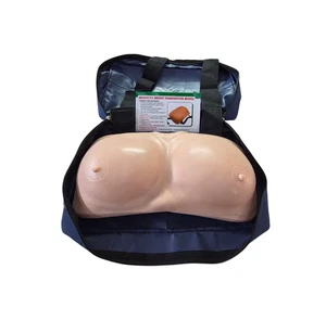 Modelo de examen avanzado de senos - Imagen 1 de 6