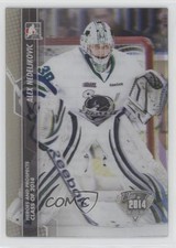 2013-14 In the Game Heroes and Prospects Hockey Cards 11