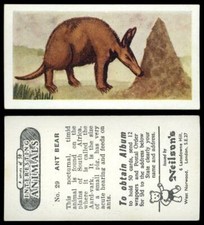 Ant Bear #29 Interesting Animals 1954 Neilson's Card