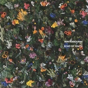 WINTERBOURNE - Echo Of Youth (CD) NEW - Picture 1 of 1