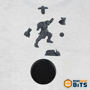 Norsca Rampagers Norse Raider Lineman 1 - Norse Blood Bowl Team - Picture 1 of 1