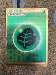 Pokemon Grass Energy XY-P Golden Present Campaign Black Star Promo NM!! - Picture 1 of 2