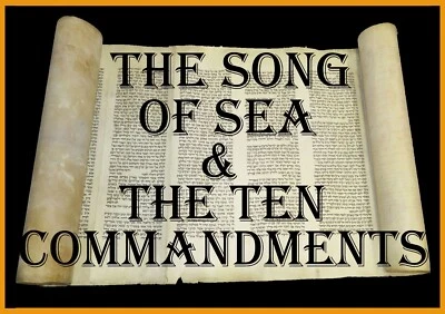 美丽的 TORAH 圣经 SCROLL MANUSCRIPT VELLUM 100 岁 荷兰 — 第 1/4 张图片